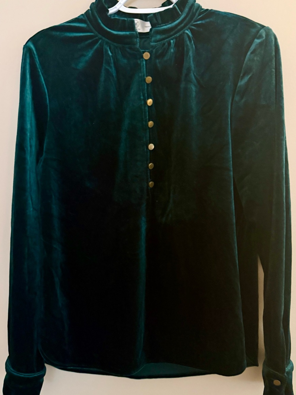 Liam & Co. Emerald Green Velvet Ruffled Mock Neck Top S